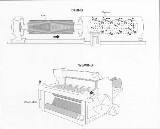 Unlike many other cloths, denim is dyed before it is woven. The dye used is generally a chemically synthesized indigo. The denim is dipped in the dye vat several times so that the dye forms many layers. This explains why blue jeans fade after washing. The yarn is then woven on large shutle-less looms. The blue threads are woven with white threads, but because the blue threads are packed closer together than the white ones, the blue color dominates the cloth.