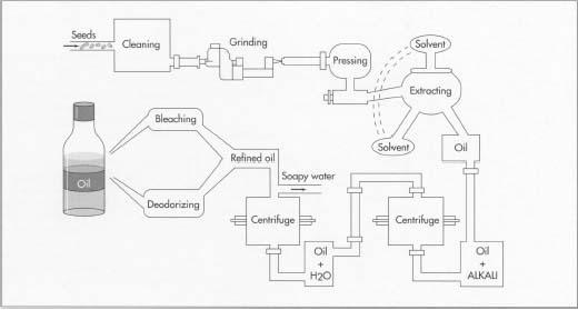 Cooking oil manufacture involves cleaning the seeds, grinding them, pressing, and extrading the oil from them. In extracting, a volatile hydrocarbon such as hexane is used as a solvent. After extracting, the oil is refined, mixed with an alkaline substance, and washed in a centrifuge. Further washing and refining follows, and then the oil is filtered and/or distilled. It is then ready for packaging.