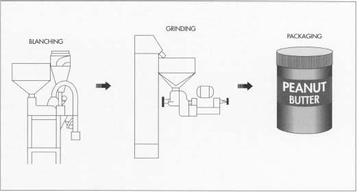 After the peanuts are roasted and cooled, they undergo blanching—removal of the skins by heat or water. The heat method has the advantage of removing the bitter heart of the peanut. Next, the blanched peanuts are pulverized and ground with salt, dextrose, and hydrogenated oil stabilizer in a grinding machine. After cooling, the peanut butter is ready to be packaged.