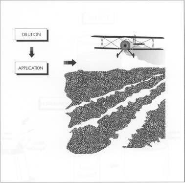 After receiving the pesiticide, farmers dilute it with water before applying it. Application can involve crop dusting with small airplanes or using sprinklers or tractors. Small farmers may even use hand-held sprayers.