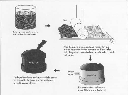 Beer requires these ingredients for proper brewing: prepared cereal grain (usually barley and corn or rice), hops, pure water, and brewer's yeast. Each ingredient can affect flavor, color, carbonation, alcohol content, and other subtle changes in the beer.