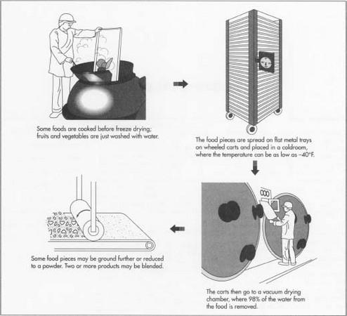 Freeze-Dried Food