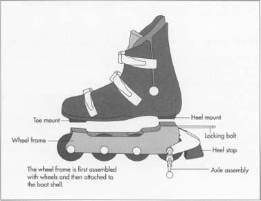 In-Line Skates