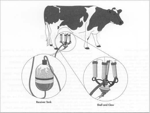 Milking machine components are created using stainless steel and plastic for containers and liners, and cast iron and steel for vacuum pumps, controls, and metering devices.