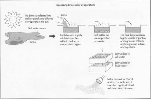 Brine is water containing a high concentration of salt. The most obvious source of brine is the ocean, but it can also be obtained from salty lakes and underground pools of salt water.