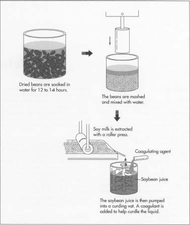 The ingredients for making tofu are few. They include the milk of soybeans, water, and coagulating agents. The modern tofu manufacturing process is largely an automated version of the traditional hand method.