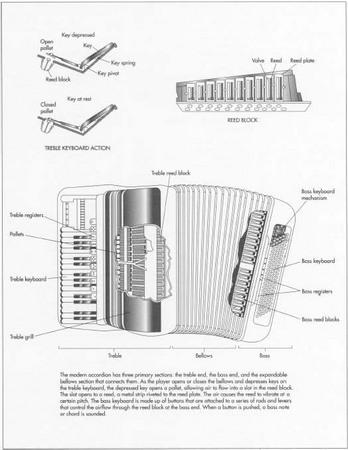 Accordion