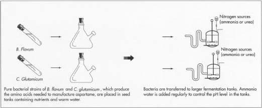 Aspartame