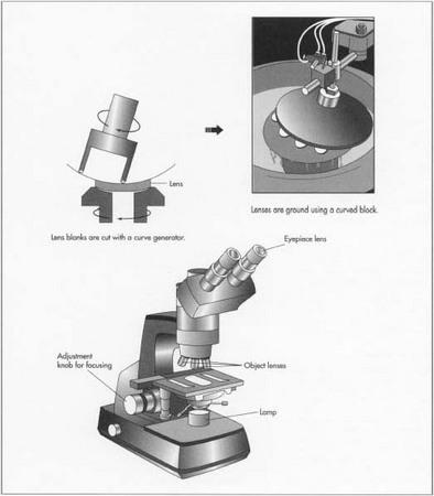 Microscope