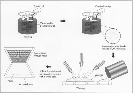 First, scented oil is added to a solution of water-soluble polymer in a reactor. Then, the mixture is blended at high speed by means of a rotary blade until the beads of oil are very small. A chemical catalyst is added, and the polymer surrounds each bead of oil, forming a shell. The newly formed capsules are washed once for scratch and sniff, twice for fragrance strips. Micro-encapsulated scents may be applied to paper in different ways. To make scratch and sniff papers, the slurry of capsules and water can be silk-screened.