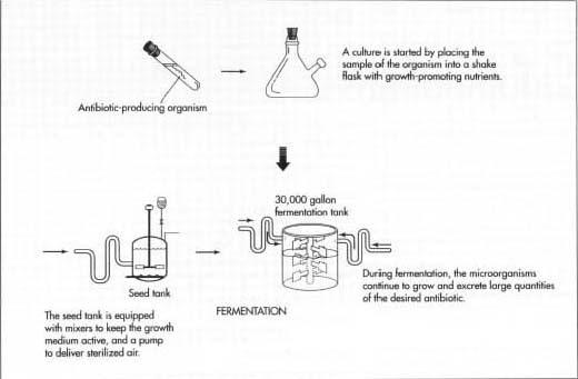 Antibiotic