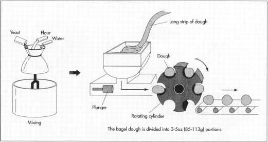 Once the ingredients are mixed into a dough, the dough is separated into predetermined portions.