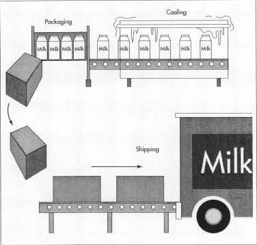 Milk Carton