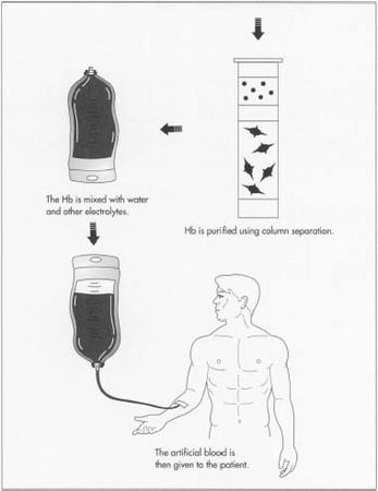 Once fermented, the hemoglobin is purified and then mixed with water and other electrolytes to create useable artificial blood.