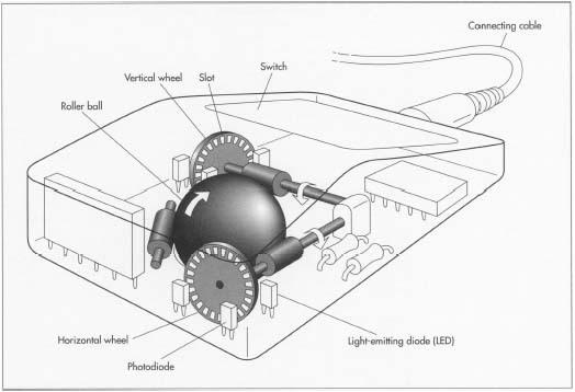 Beneath the outer, hard plastic body that the user maneuvers across a mouse pad is a rubberized ball that turns as the mouse moves. The ball is held in place by a support wheel and two shafts. As it rolls, one shaft turns with horizontal motion and the second responds to vertical motion. At one end of each of the two shafts, a spoked wheel also turns. As these spokes rotate, infrared light signals from a light-emitting diode (LED) flicker through the spokes and are intercepted by a light detector. The dark and light are translated by phototransistors into electrical pulses that go to the interface integrated circuit (IC) in the mouse. The pulses tell the IC that the ball has tracked left-right and up-down, transmits the command through the cable to the Central Processing Unit (CPU), and instructs the cursor to move accordingly on the screen.