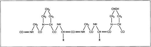 The chemical structure of gelatin is what makes gelatin water soluble; form digestible gels and films that are strong, flexible, and transparent; and form a positive binding action that is useful in food processing, pharmaceuticals, photography, and paper production.