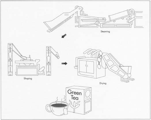 Once harvested, the tea leaves are dried in order to prevent fermentation. In China, pan firing is used. In Japan, the leaves are steam dried. The dried leaves are then shaped or rolled in order to regulate the release of natural substances and flavor when it is steeped in the cup, as well as create a uniformly rounded leaf. In Japan, the tea is dried once more to reduce its moisture content to about 5% before packaging.