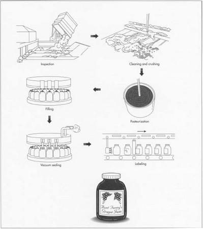 When the fruit arrives at the plant, it is inspected for quality, using color, ripeness, and taste as guides. Fruit that passes inspection is cleaned, crushed, and pasteurized. Next, the premeasured mixture is cooked with added sugar and pectin until it reaches the appropriate thickness and taste. Then it is vacuum-packed in jars and labeled.