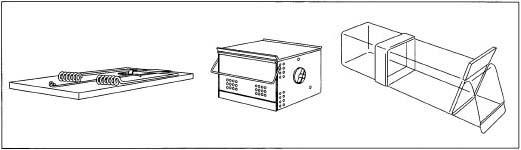 A traditional mousetrap and two types of cage traps.