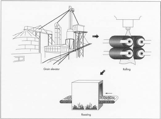 Oatmeal manufacture involves harvesting, washing, steaming, and hulling the oats. Standard oats are steel-cut, whereas quick-cooking oats are rolled between cylinders to produce a flatter flake. Once flaked, the oats are roasted and packaged.