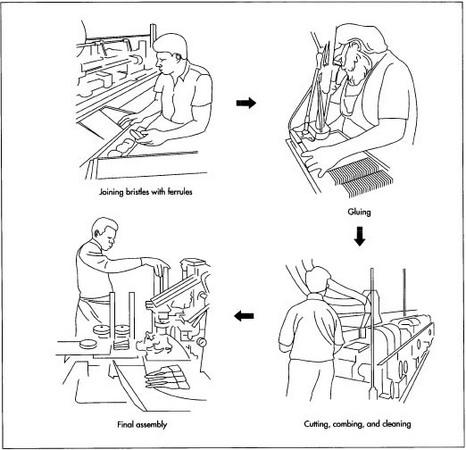 In an automated process, bristles are separated into bundles that are joined with a metal ferrule, plugged, and glued. Once dry, the brush head is cleaned, combed, and trimmed. Handles are automatically inserted into the brush head and then nailed, riveted, or crimped to the ferrule.