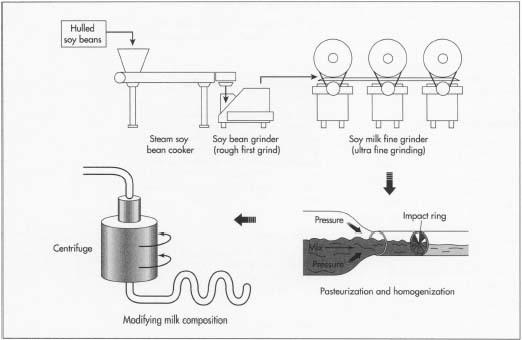 Good quality soybeans are harvested, cleaned, hulled, and pressure cooked. Next, the cooked soybeans are ground by a number of grinders that transform the beans into a milky slurry. The slurry is placed in a centrifuge that extracts any insoluble bits of bean. The separated soy liquid called jun is blended with vitamins, flavorings, and sugar and then sterilized and homogenized. The hot milk is cooled and packaged in such a way that it is never exposed to air.