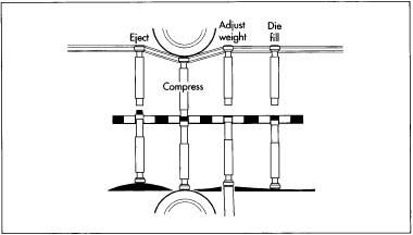 Tablet-shaped mints are made in a rotary tablet press, consisting of four punch and dies that move along belts. Large rollers continuously move the belts and the punches and dies are pushed up and pulled down by adjustable cams.