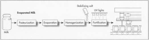 A diagram showing the manufacturing steps involved in making evaporated milk.