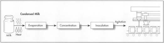 A diagram showing the manufacturing steps involved in making condensed milk.