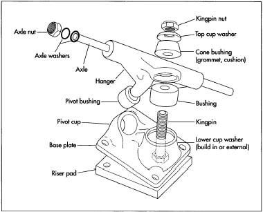 An example of a skateboard truck.