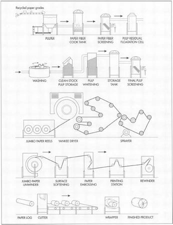 A diagram of toilet paper manufacturing process.