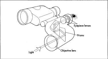 The process of magnifying the image.