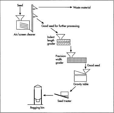 The manufacturing process of birdseed.