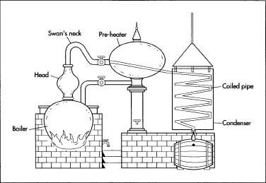 The distillation of brandy.